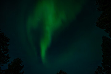 Fototapeta premium Lappland (2025-03) - Nordlichter