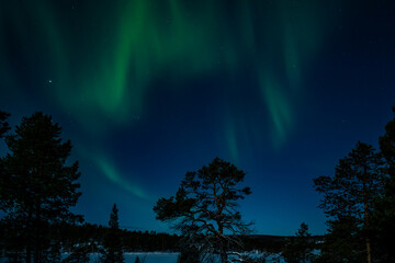 Lappland (2025-03) - Nordlichter