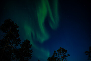 Lappland (2025-03) - Nordlichter