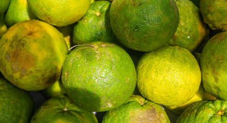 Clse up of green oranges in the sunlight fruit backgrounds
