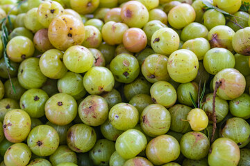 Close up of indian gooseberry (amla) fruit