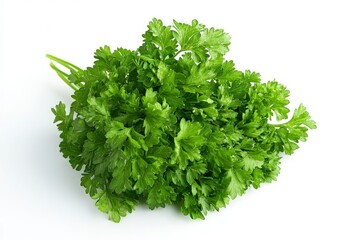 Obraz premium Fresh Green Parsley Bunch Isolated on White Background for Food Preparation