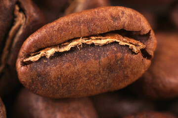 High-resolution image of a roasted coffee bean with a split center, set against a background of more beans. Suitable for coffee ads or packaging.