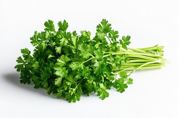Fototapeta premium Fresh Parsley Bunch Close-up on White Background for Culinary Use