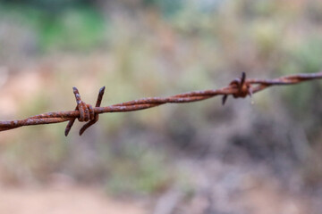 strand of barbed wire fence in selective focus