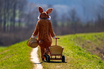 Osterhase