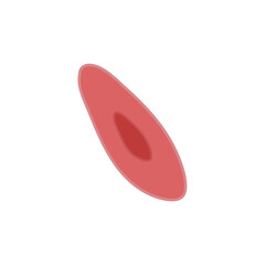 endothelial cell of blood vessel. Vector illustration.