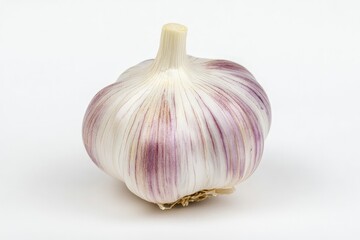 Close Up of Fresh Garlic Bulb with Purple Stripes on White