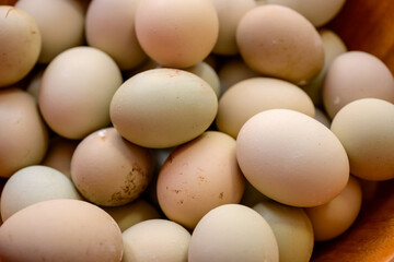 Fresh Farm Eggs in Natural Colors
A close-up of assorted fresh farm eggs in a wooden bowl,...