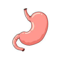 human stomach illustration, with simple design, with white background suitable for your design