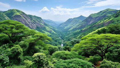 Fototapeta premium Lush green valley nestled between mountains, a river flowing through the vibrant foliage under a partly cloudy sky