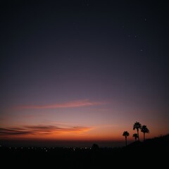 Fototapeta premium Tranquil dusk sky with silhouetted palm trees and city lights on horizon