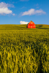 Red barn in the Palouse of eastern Washington state