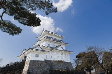 Naklejka premium 青空を背景に建つ小田原城の天守閣