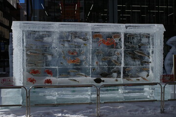 札幌雪まつり・氷の水族館