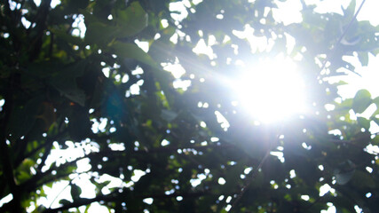 beautiful nature defocused bokeh landscape