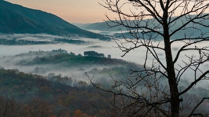 the feel of cold mountains covered in wisps of mist.