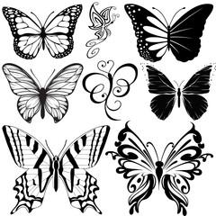 8 Black and White Butterfly Silhouette Illustrations - Intricate Wing Designs and Artistic Patterns 