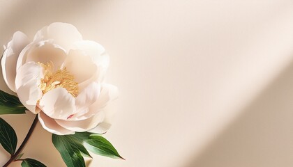 柔らかなベージュの和紙に浮かぶ一輪の芍薬（ピオニー）の花が、5月の清々しさと上品さを表現する背景。光と陰影が柔らかく交わり、静かで優雅な空気を感じさせるデザインです。


