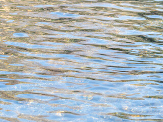 春の川　水の流れ14