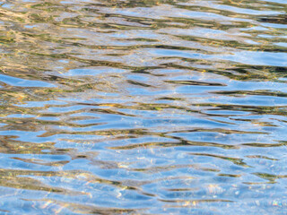 春の川　水の流れ17