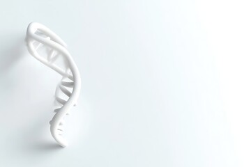 3D Model of DNA Helix