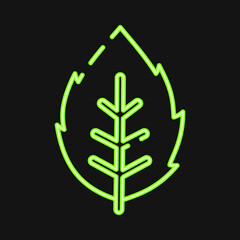 Icon mint. Plant leaves elements. Icon in neon style.