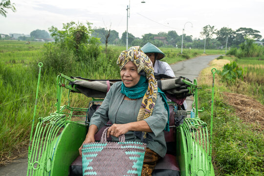 Elderly javanese woman riding in a becak through rice paddies