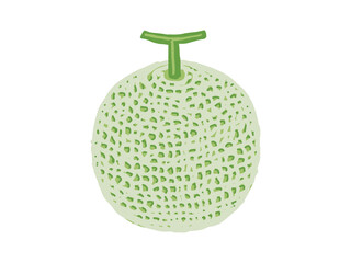 メロンのイラスト