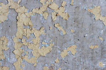 Peeling paint on the wall. Old concrete wall with cracked flaking paint. Weathered rough painted surface with patterns of cracks and peeling. High resolution texture for background and design. Closeup