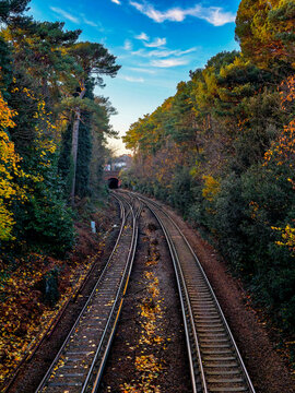 The train tracks are surrounded by trees and leaves. The leaves are yellow and orange, and the sky is blue. Bournemouth, United Kingdom, UK