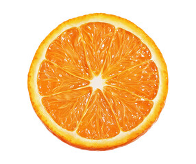 Sweet orange and juicy slice with leaf detail, citrus freshness isolated on transparent background