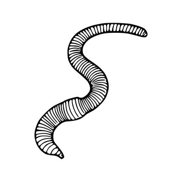 black and white worm drawing clip art preview