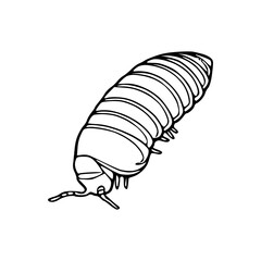 woodlouse insect outline vector
