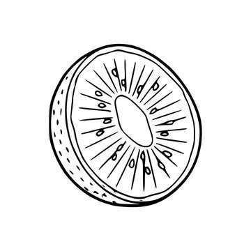 kiwi fruit slice black and white clip art preview