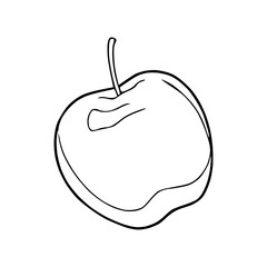 fresh apple outline vector