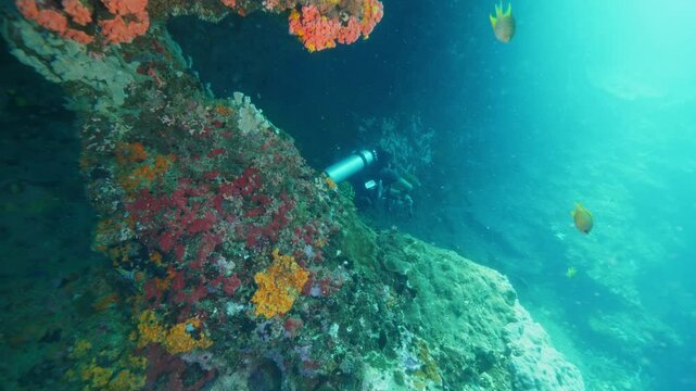 Diver discovers hidden enclave during underwater activity
