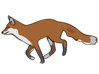 A fox in a continuous line drawing on a white background.
