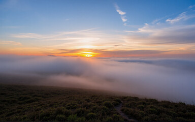 Fototapeta premium A breathtaking sunrise paints the sky with warm hues above a sea of clouds blanketing the valley below, viewed from a grassy mountain peak.