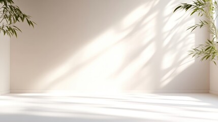 Empty minimalist room with soft sunlight streaming through windows, casting shadows on white wall, green plants adding natural touch, and serene indoor atmosphere.