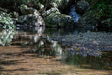 奄美大島の春本番の山々、黄緑色の山々。