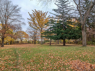James Gardens park in Toronto