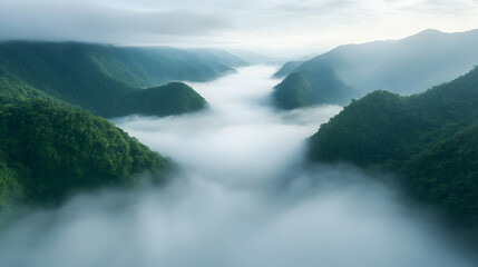 Obraz premium Aerial View of Lush Green Mountains Enveloped in Morning Fog