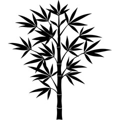 Bamboo tree silhouette vector isolated on white background