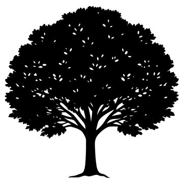 ash tree silhouette vector isolated on white background