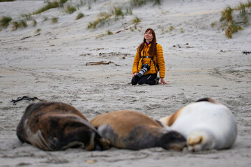 happy girl sits on the white sand and admires Hooker’s sea lions at Sandfly Bay, Otago Peninsula,...