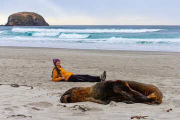 happy girl lies on the white sand and admires Hooker’s sea lions. Allans Beach, Otago Peninsula,...