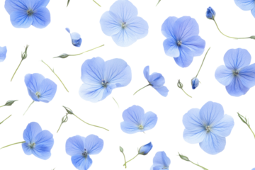 A close-up shot of delicate flax blue flowers scattered across a crisp white background, showcasing their intricate petals and fine details.