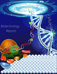 Journal Cover Template