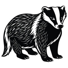 Adobe Illustrator AVector illustration of zorilla isolated on white background. For kids coloring book.rtwork